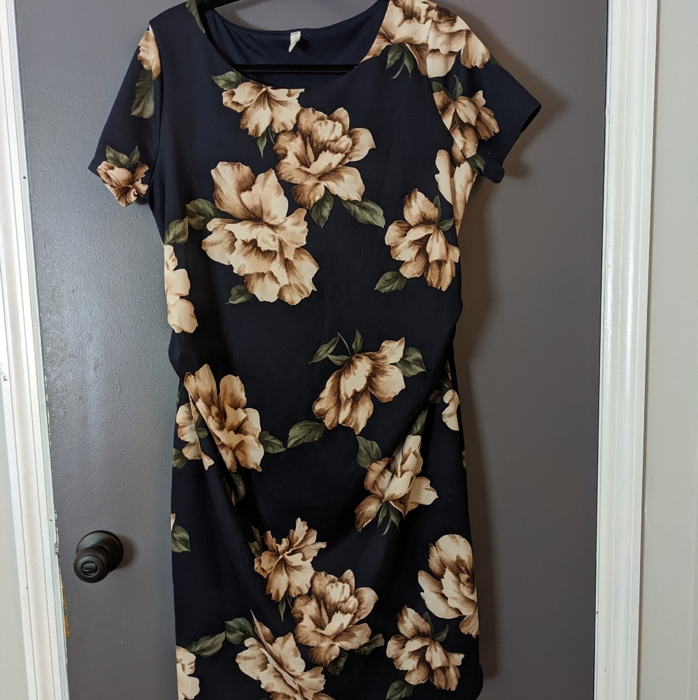 Pinkblush maternity dress